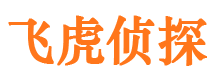 进贤侦探公司